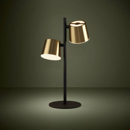 Настольная лампа Eglo Altamira 39986, 2xGU10x5W - миниатюра 3