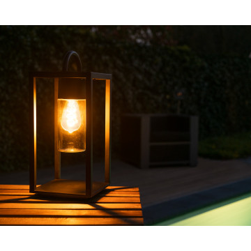 Садовый светильник Lucide Glimmer 14882/01/30, IP44, 1xE27x60W, прозрачный, черный, металл со стеклом - миниатюра 6