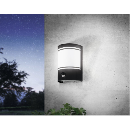 Настенный светильник Eglo Cerno 99566, IP44, 1xE27x40W - миниатюра 2