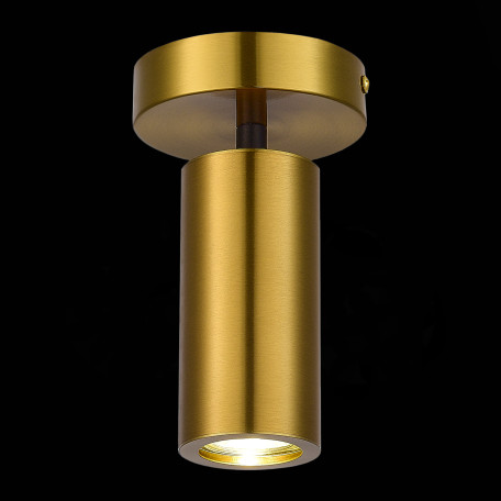 Потолочный светильник ST Luce Talia SL1215.402.01, 1xGU10x5W - миниатюра 3