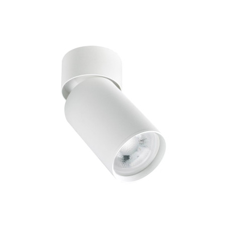 Потолочный светильник с регулировкой направления света Denkirs Tube DK2029-WH, 1xGU10x50W - миниатюра 1