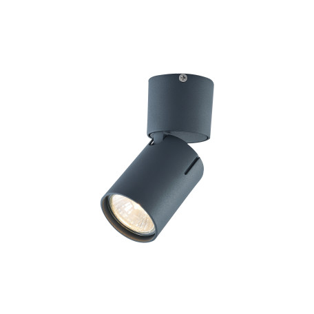 Потолочный светильник Vele Luce Carrisi VL8067S01, 1xGU10x35W - миниатюра 2