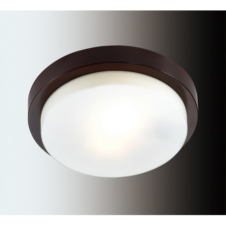 Потолочный светильник Odeon Light Drops Holger 2744/2C, IP44, 2xE14x40W