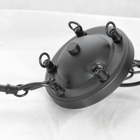 Подвесной светильник Lussole Loft Carrollton LSP-8735, IP21, 10xE14x40W - миниатюра 5