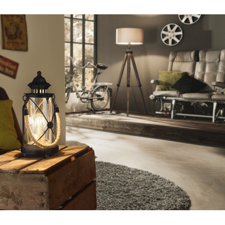 Настольная лампа Eglo Trend & Vintage Cottage Chic Bradford 49283, 1xE27x60W, черный, прозрачный, канат, металл, стекло - миниатюра 2