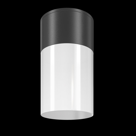 Потолочный светильник Maytoni Willis O418CL-01B, IP54, 1xE27x60W - миниатюра 2