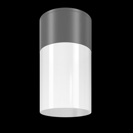Потолочный светильник Maytoni Willis O418CL-01GR, IP54, 1xE27x60W - миниатюра 2