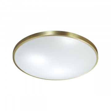 Потолочный светодиодный светильник Sonex Lota Bronze 2089/DL, IP43, LED 48W 3000-6000K 3400lm, белый, бронза, металл, пластик