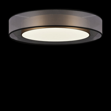 Светодиодный светильник с пультом ДУ Freya Zoticus FR6005CL-L48G, LED 48W 3000-6000K 1450lm CRI80, пластик - миниатюра 2