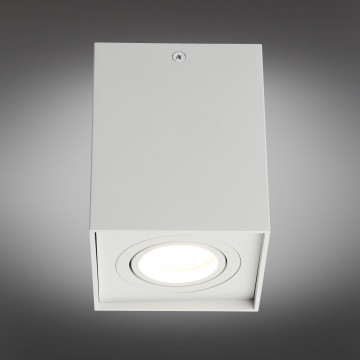 Потолочный светильник Omnilux Feletto OML-101109-01, 1xGU10x50W - миниатюра 2