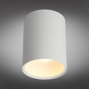 Потолочный светильник Omnilux Cariano OML-101209-01, 1xGU10x50W - миниатюра 3