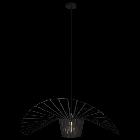Подвесной светильник Loft It Chapeau 10246/800, 1xE27x60W - миниатюра 3