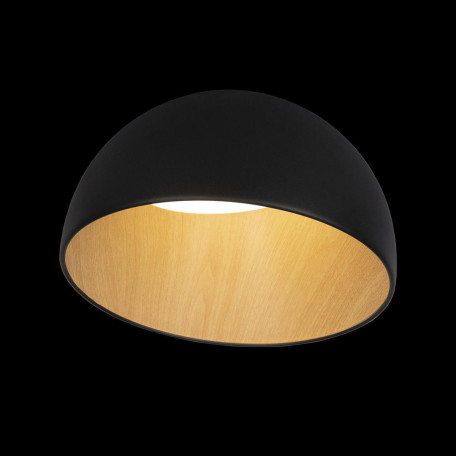 Потолочный светодиодный светильник Loft It Egg 10197/350 Black, LED 24W 4000K 1650lm - миниатюра 4