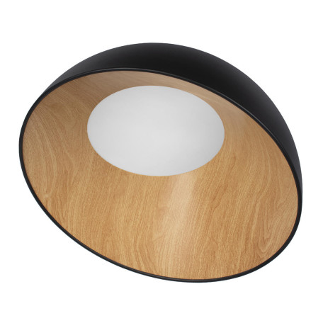 Потолочный светодиодный светильник Loft It Egg 10197/500 Black, LED 36W 4000K 2450lm - миниатюра 2