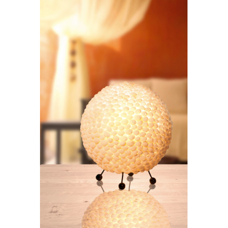 Настольная лампа Globo Bali 25834, 1xE27x60W, металл, ракушки - миниатюра 2