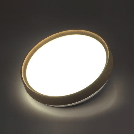 Потолочный светодиодный светильник Sonex Woodi 7603/DL, IP43, LED 48W 3000-6000K 3400lm - миниатюра 5