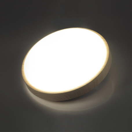 Потолочный светодиодный светильник Sonex Losta 7607/AL, IP43, LED 18W 4000K 1900lm - миниатюра 5