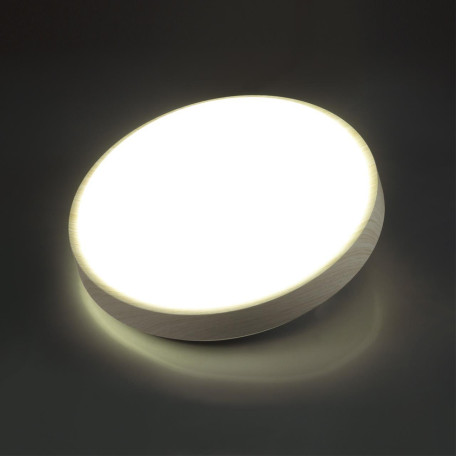 Потолочный светодиодный светильник Sonex Losta 7628/AL, IP43, LED 18W 4000K 1900lm - миниатюра 5