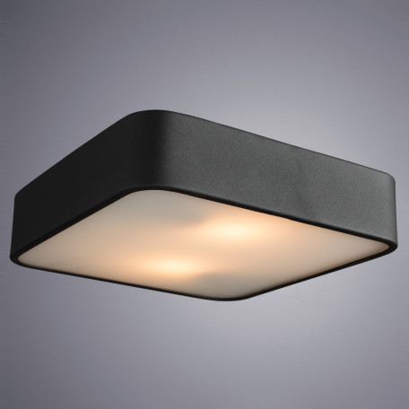 Потолочный светильник Arte Lamp Cosmopolitan A7210PL-2BK, 2xE27x60W, стекло - миниатюра 2