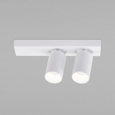 Потолочный светильник с регулировкой направления света Eurosvet Flank 20139/2 LED белый (a059101)