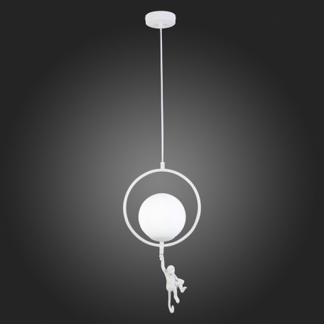 Подвесной светильник Evoluce Tenato SLE115113-01, 1xE27x60W - миниатюра 4