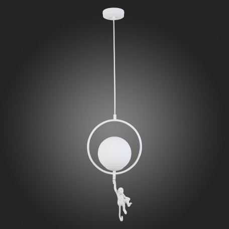 Подвесной светильник Evoluce Tenato SLE115113-01, 1xE27x60W - миниатюра 6