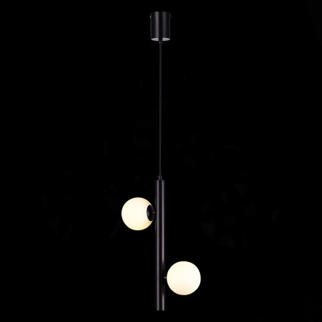 Подвесной светильник ST Luce Asolo SL1185.403.02, 2xG9x5W - миниатюра 3