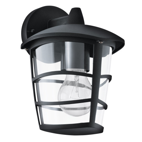 Настенный фонарь Eglo Aloria 93098, IP44, 1xE27x60W, черный, прозрачный, металл, металл с пластиком