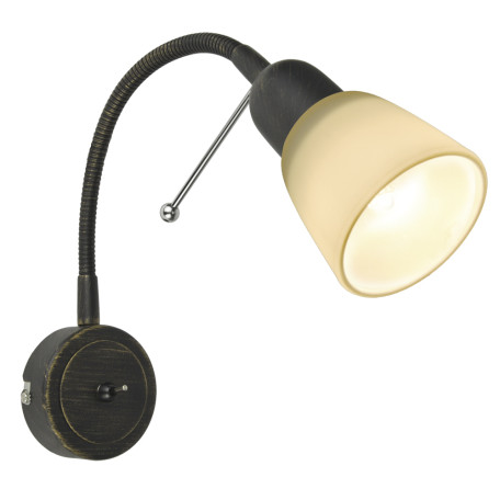 Настенный светильник с регулировкой направления света Arte Lamp Lettura A7009AP-1BR, 1xE14x40W, коричневый с золотой патиной, белый, металл, стекло
