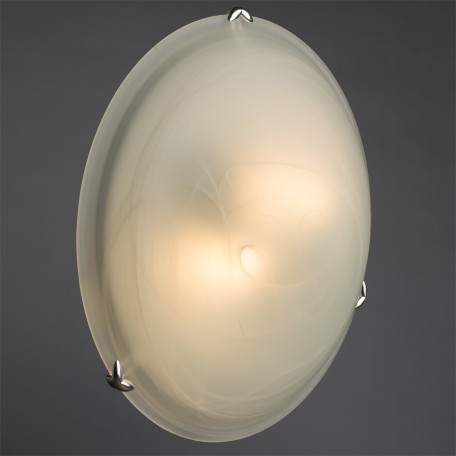 Потолочный светильник Arte Lamp Symphony A3440PL-2CC, 2xE27x60W - миниатюра 2