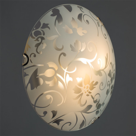 Потолочный светильник Arte Lamp Ornament A4120PL-2CC, 2xE27x60W, хромированный, белый, металл, стекло - миниатюра 2