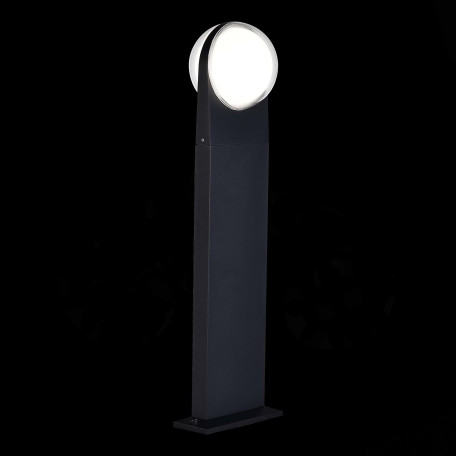 Садово-парковый светодиодный светильник ST Luce Celeste SL9510.405.01, IP54, LED 12W 4000K - миниатюра 3