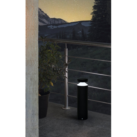 Садово-парковый светодиодный светильник Eglo Melzo 97632, IP44, LED 11W 3000K 950lm, черный, прозрачный, металл, пластик - миниатюра 2