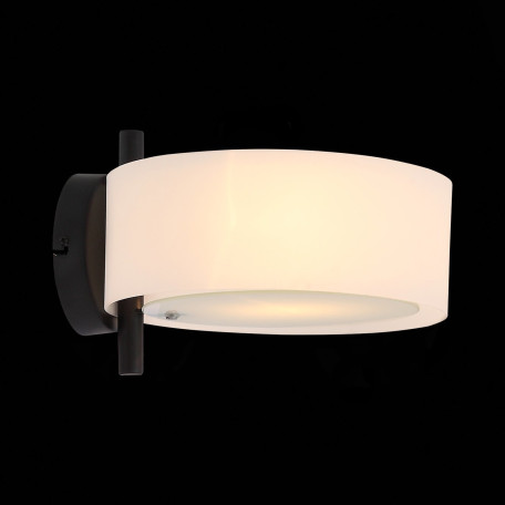 Настенный светильник Evoluce Foresta SL483.401.01, 1xE27x60W - миниатюра 4