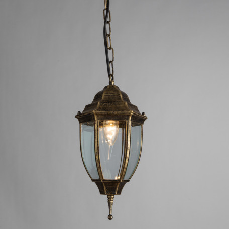 Подвесной светильник Arte Lamp Pegasus A3151SO-1BN, IP44, 1xE27x60W, черненое золото, прозрачный, черный с золотой патиной, металл, металл со стеклом - фото 2