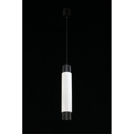 Подвесной светильник Aployt Evet APL.618.16.01, 1xGU10x5W - миниатюра 5