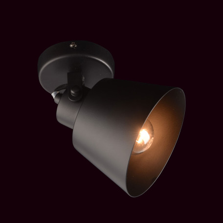 Потолочный светильник с регулировкой направления света De Markt Ринген 547021201, 1xE27x60W - миниатюра 5