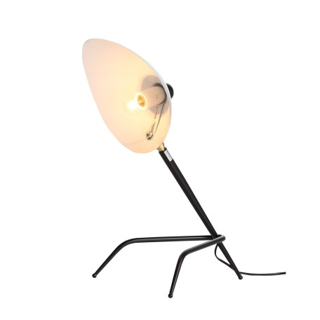Настольная лампа ST Luce Spruzzo SL305.404.01, 1xE27x40W - миниатюра 2