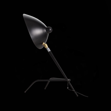 Настольная лампа ST Luce Spruzzo SL305.404.01, 1xE27x40W - миниатюра 3