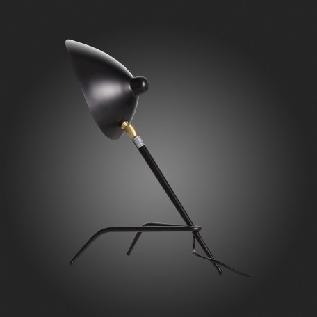 Настольная лампа ST Luce Spruzzo SL305.404.01, 1xE27x40W - миниатюра 4