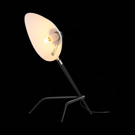 Настольная лампа ST Luce Spruzzo SL305.404.01, 1xE27x40W - миниатюра 5