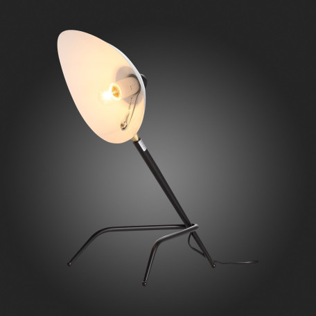 Настольная лампа ST Luce Spruzzo SL305.404.01, 1xE27x40W - миниатюра 6