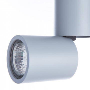 Потолочный светильник с регулировкой направления света Divinare Gavroche Posto 1800/05 PL-1, 1xGU10x50W, серый, металл - фото 3