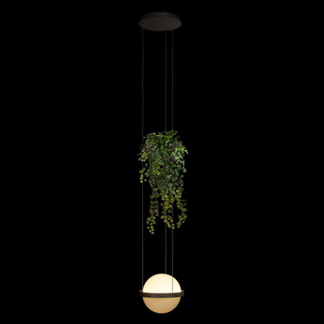 Подвесной светодиодный светильник Loft It Jardin 10121/1P Dark grey, LED 24W 3000K 1680lm - миниатюра 2