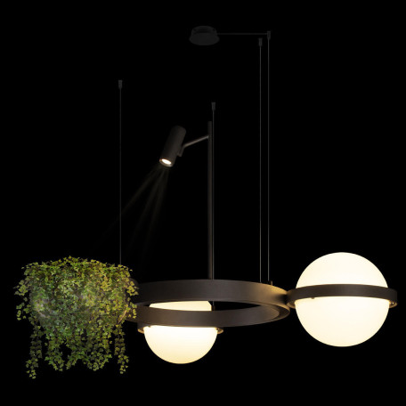 Подвесной светодиодный светильник Loft It Jardin 10121/2 Dark grey, LED 51W 3000K 3570lm - миниатюра 4