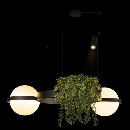 Подвесной светодиодный светильник Loft It Jardin 10121/2 Dark grey, LED 51W 3000K 3570lm - миниатюра 5