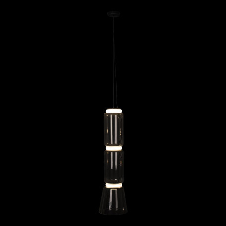 Подвесной светодиодный светильник Loft It Noctambule 10193/M, LED 12W 4000K 850lm - миниатюра 3