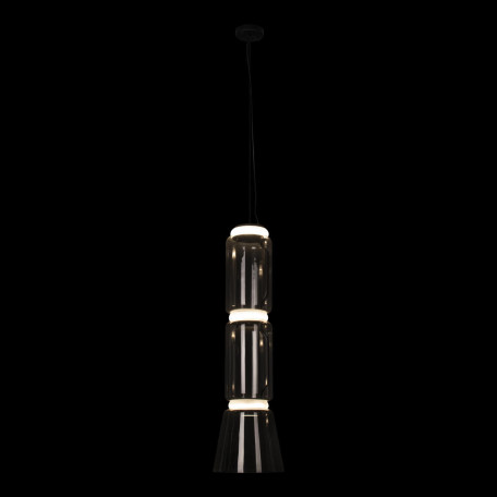 Подвесной светодиодный светильник Loft It Noctambule 10193/M, LED 12W 4000K 850lm - миниатюра 4