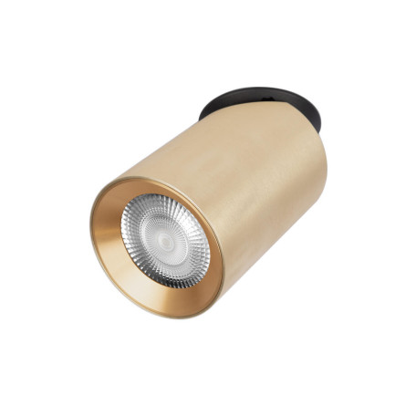 Настенно-потолочный светильник-спот с регулировкой направления света Loft It Bar 10345 Gold, 1xGU10x5W