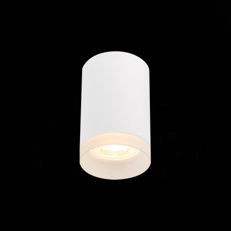 Потолочный светильник ST Luce ST100.502.01, 1xGU10x7W - миниатюра 3